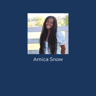 Amica Snow